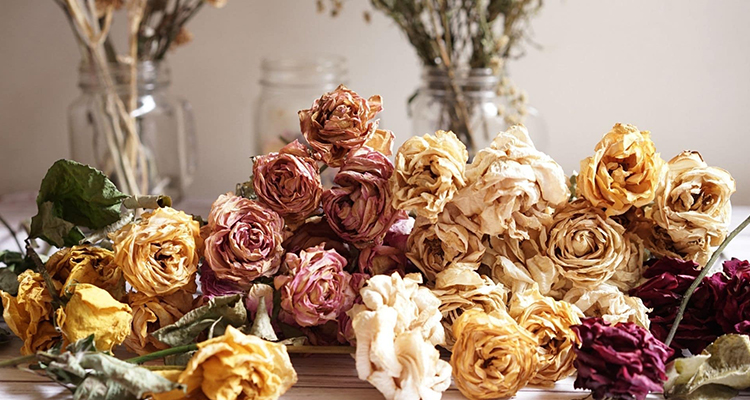 Fleurs