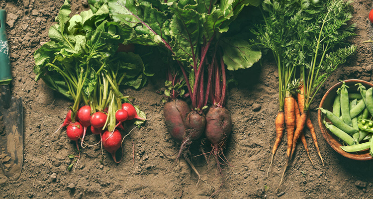 Produits agricoles