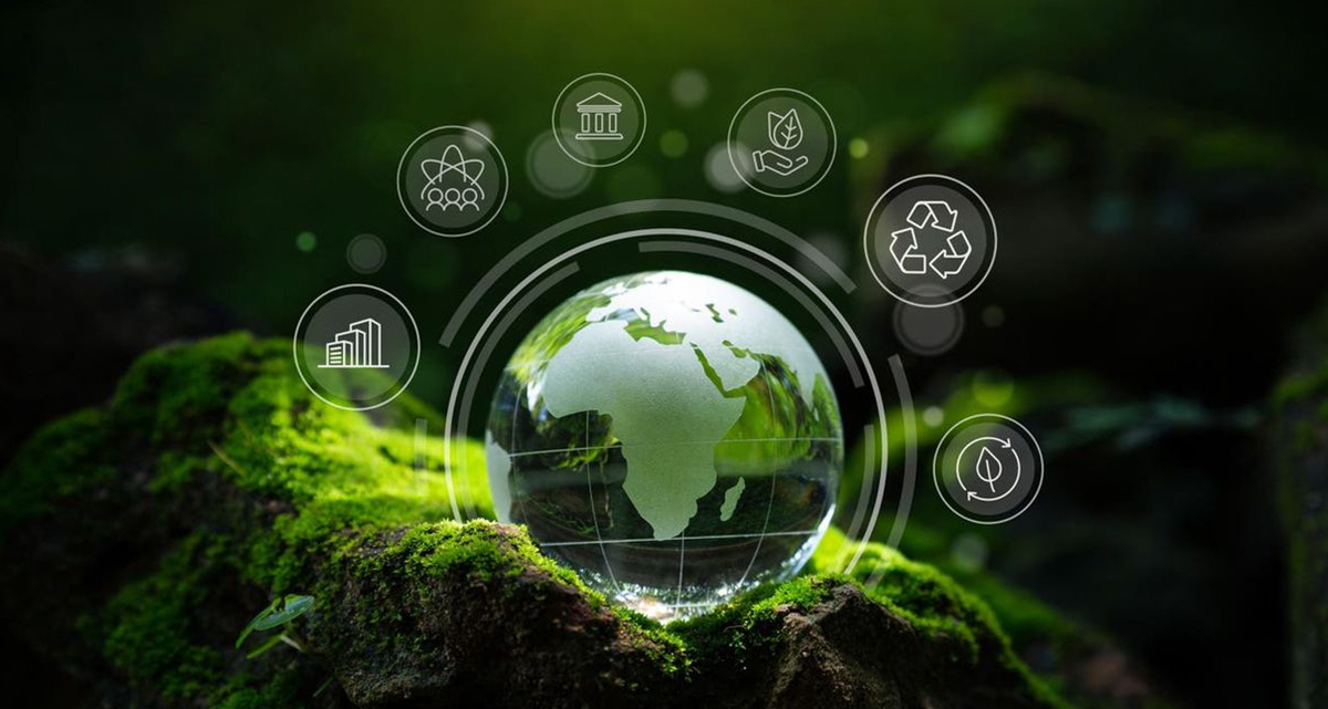 Institut de recherche sur la technologie de lyophilisation Sieno (Jiangsu) Co., Ltd