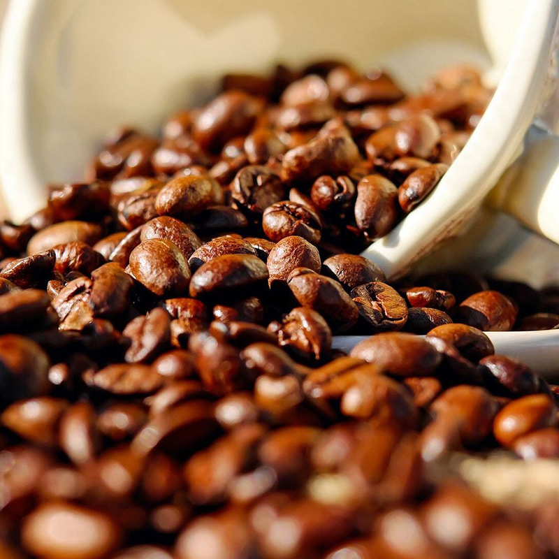 Équipement de lyophilisation du café