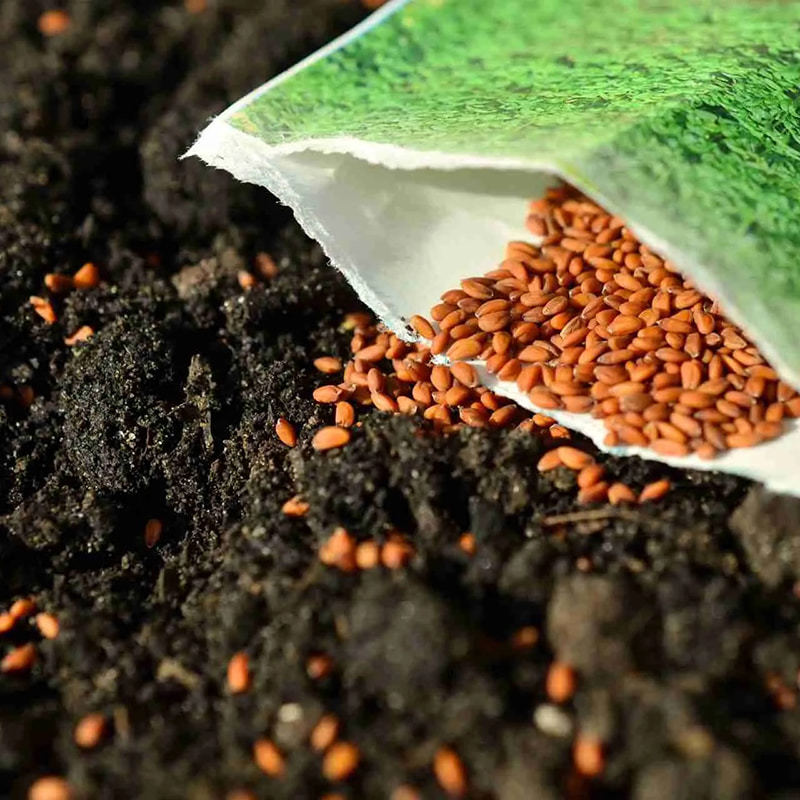 Réservoir de mélange d'agent protecteur pour graines et champignons
