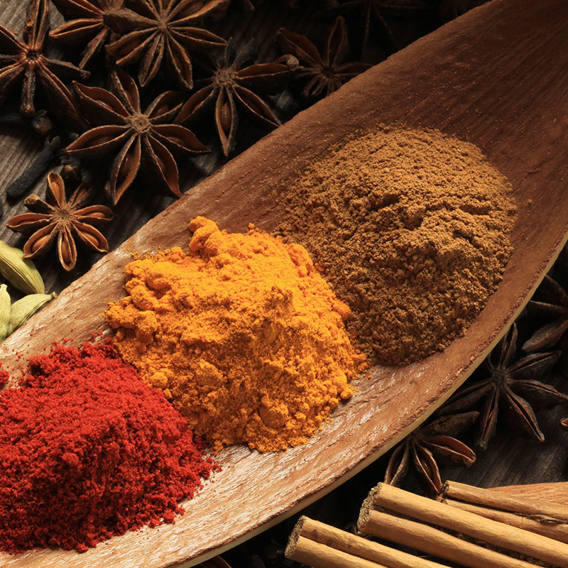 Dispositif d'extraction de CO₂ supercritique Spice