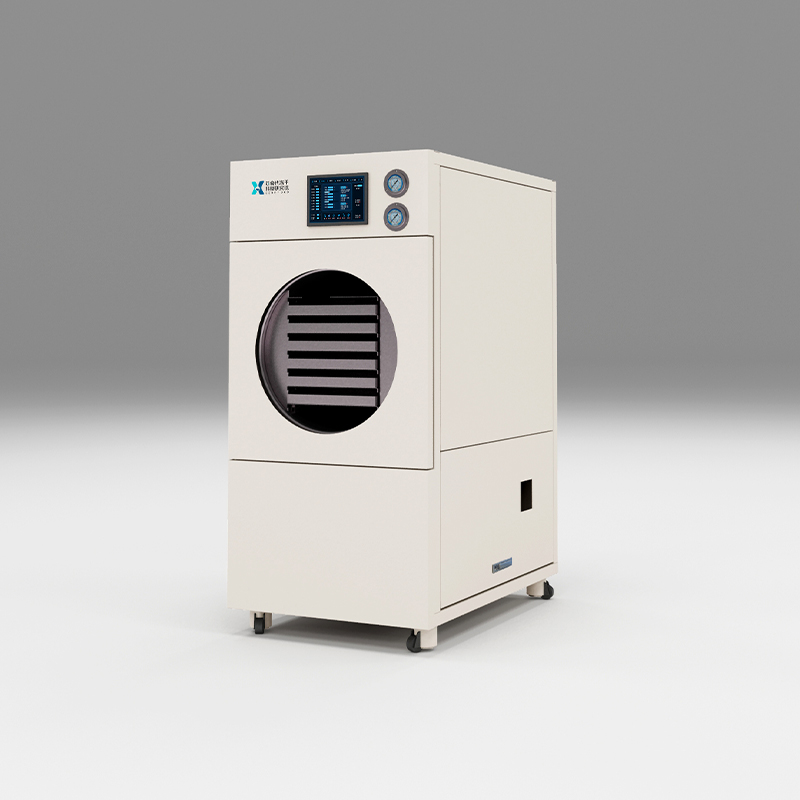 Lyophilisateur sous vide pour produits lyophilisés pour la santé gastro-intestinale